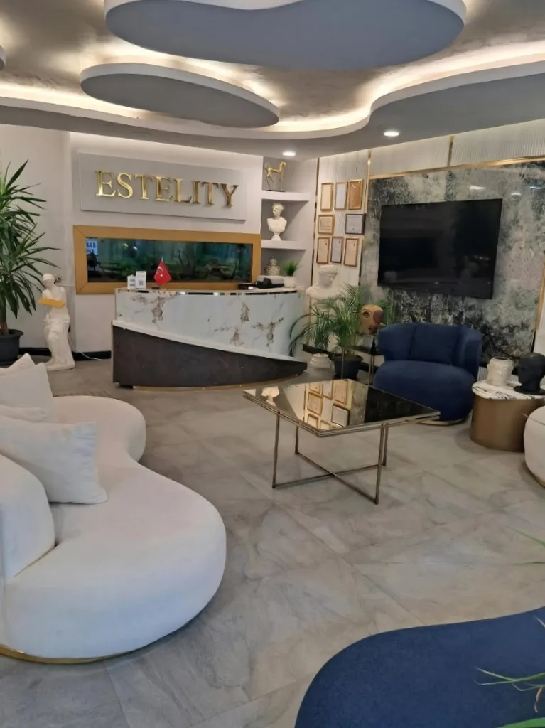 Estelity Clinic Istanbul VIP Patient Reception and Surgical Center